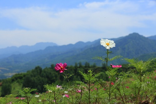 5G1A9160.JPG