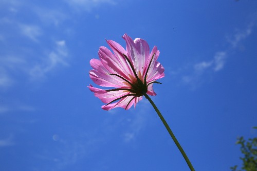 5G1A9046.JPG