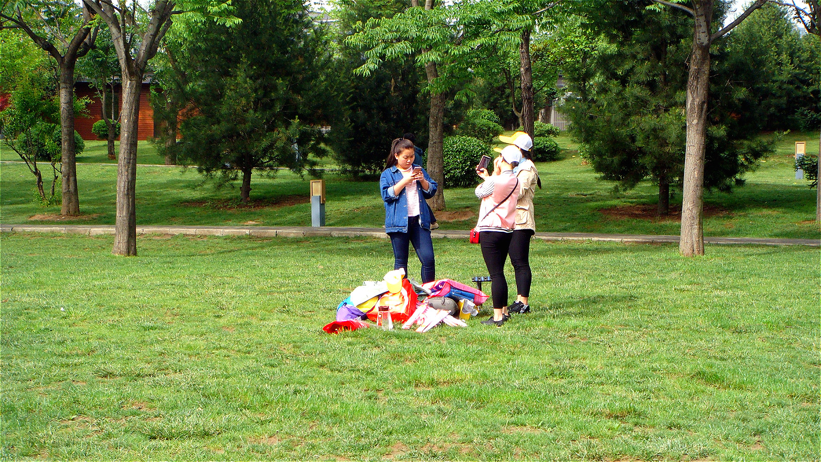 DSC01996_meitu_82.jpg