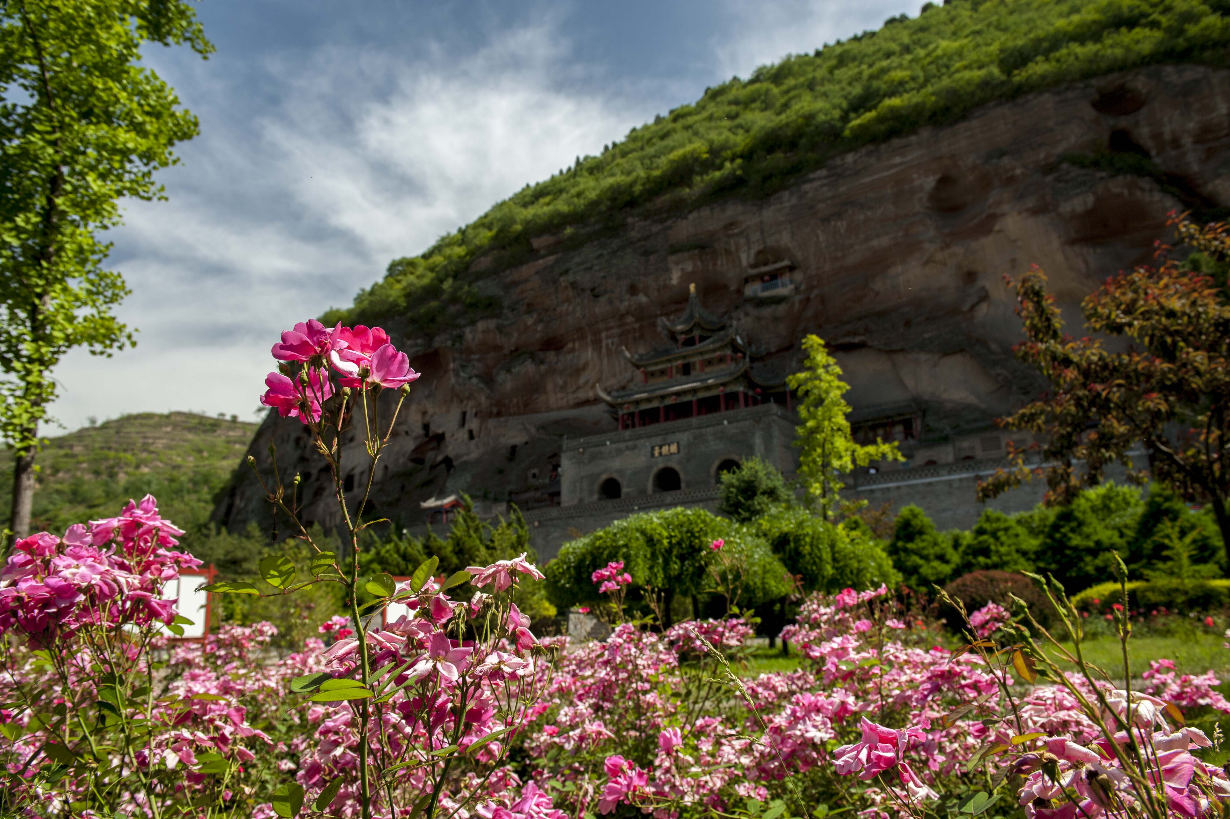 大佛寺DSC_1047.JPG