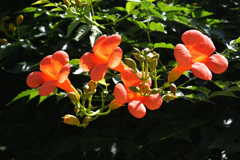 DSC_0802副本.jpg