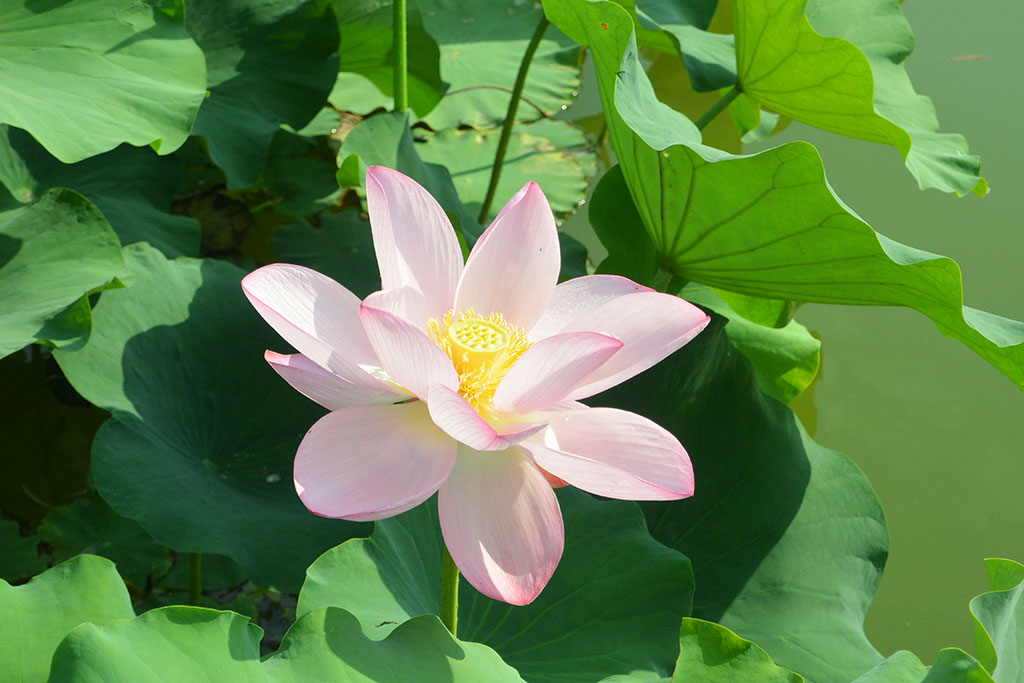 DSC_0891副本.jpg