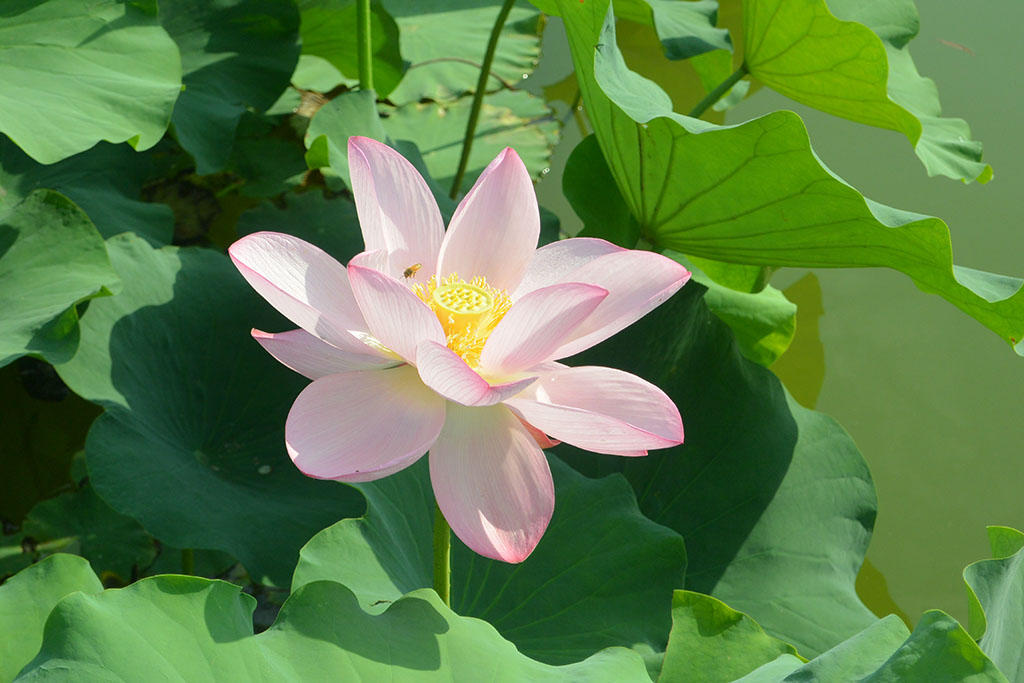 DSC_0892副本.jpg