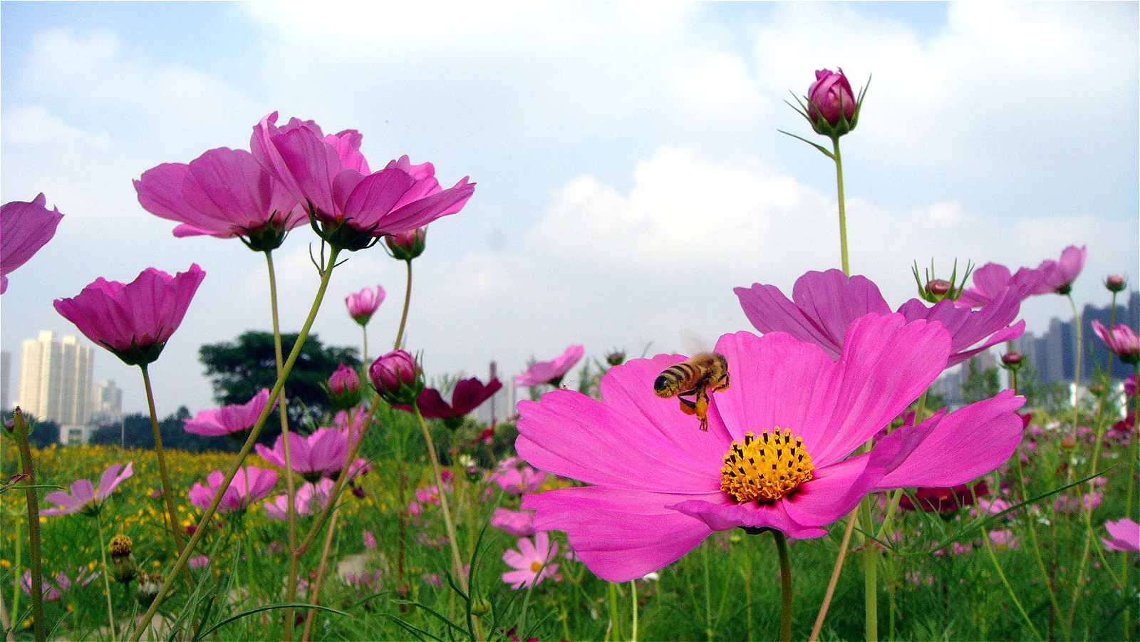 DSC03513_meitu_2.jpg
