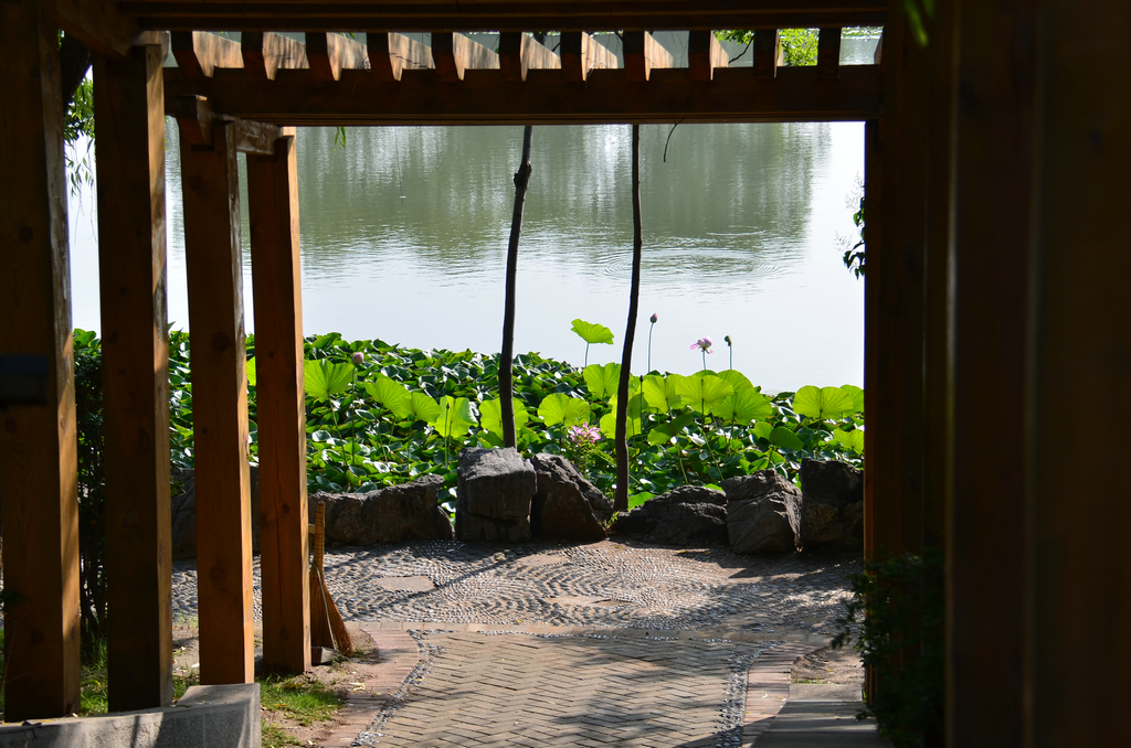 DSC_4599.JPG
