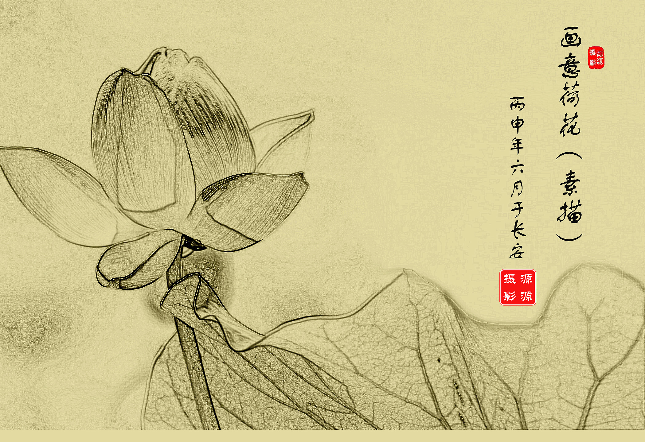 素描-5.jpg