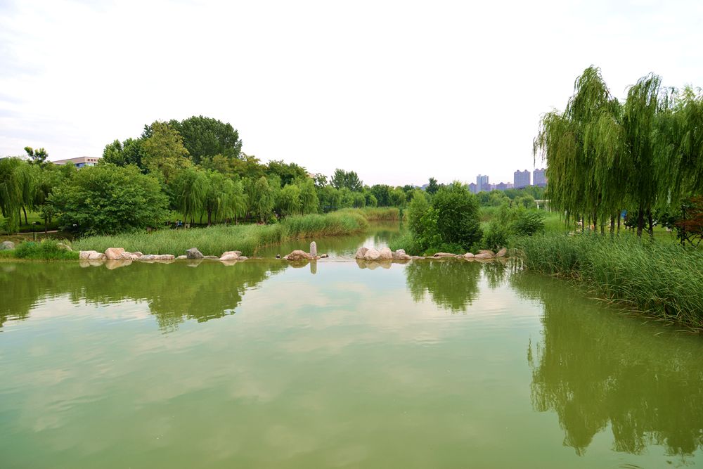 DSC_1988_副本.jpg