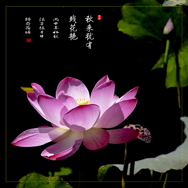 LIU_0468副本副本.jpg