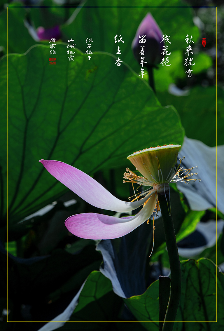 LIU_0472副本副本.jpg