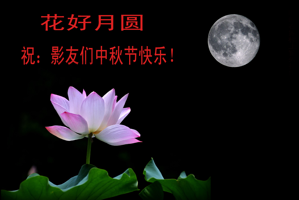 花好 月圆.jpg