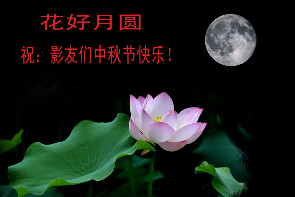 花好 月圆 (6).jpg
