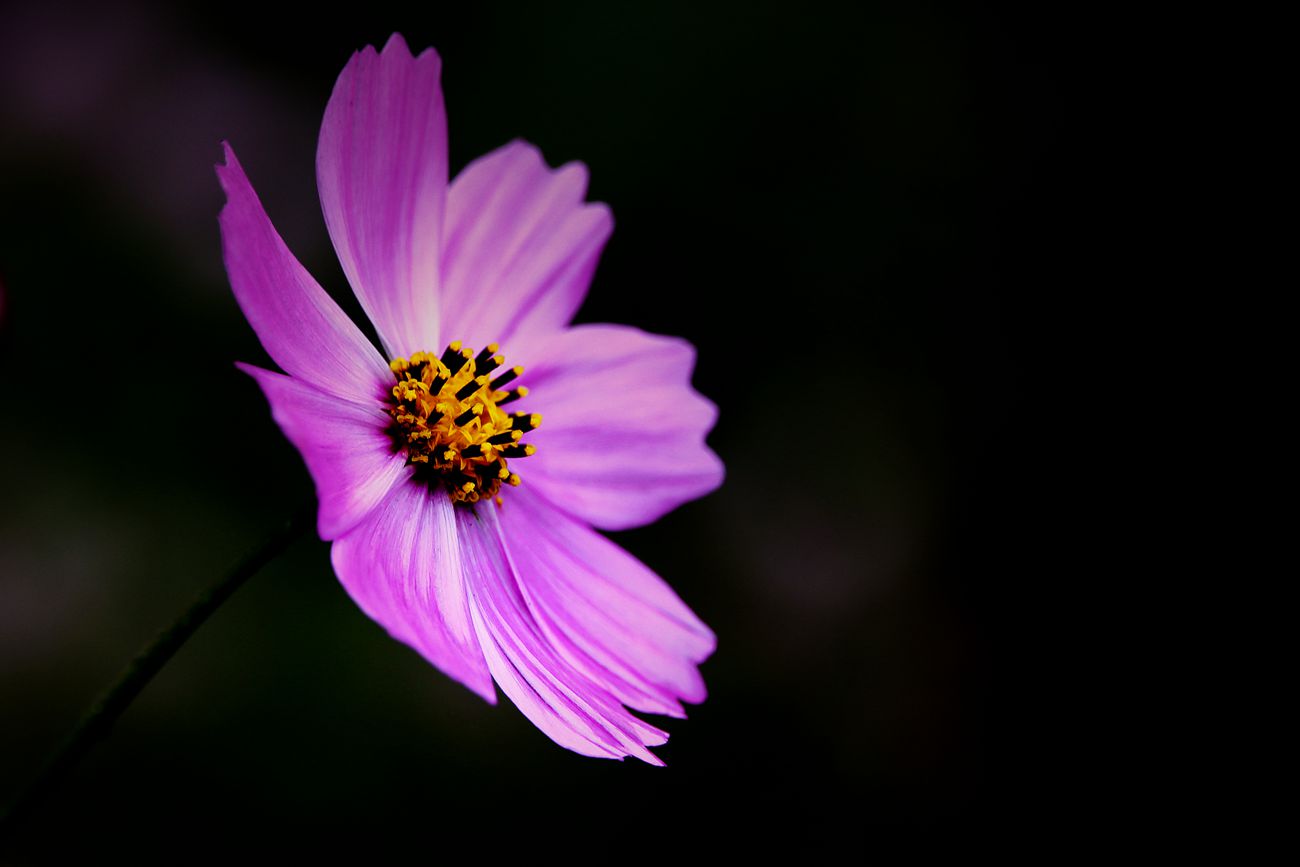 IMG_9403_副本.jpg