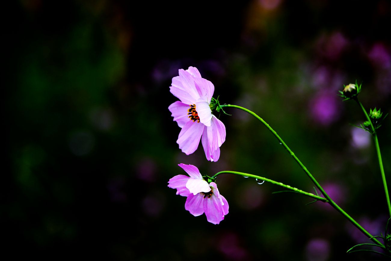 IMG_9406_副本.jpg