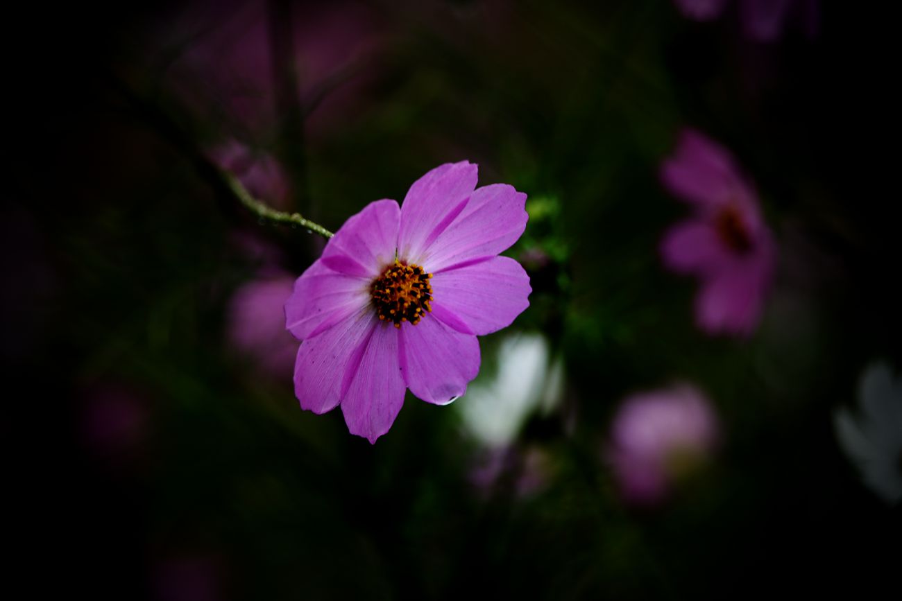 IMG_9424_副本.jpg