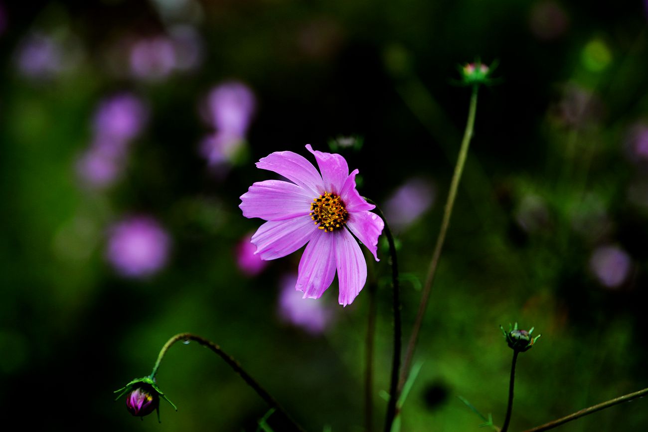 IMG_9427_副本.jpg