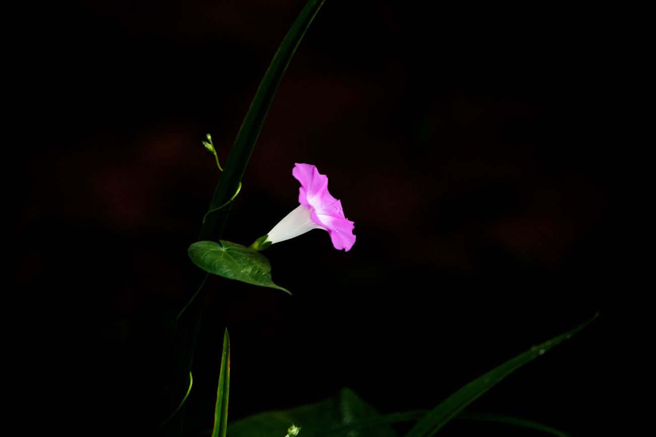 IMG_9633_副本.jpg