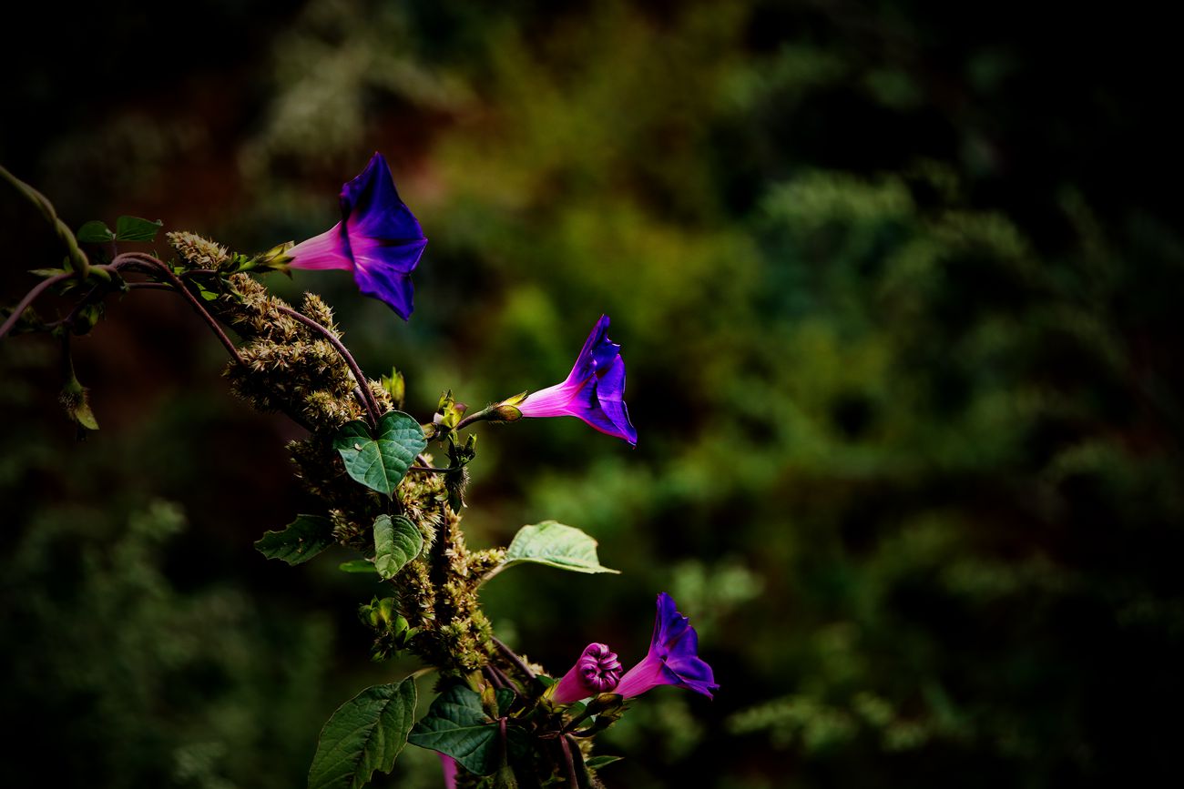 IMG_9878_副本.jpg