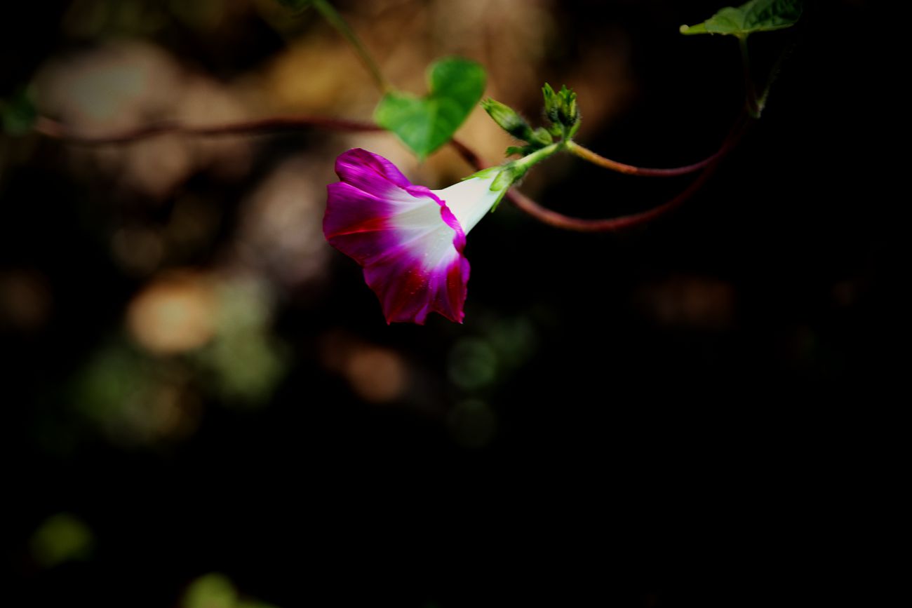 IMG_9897_副本.jpg