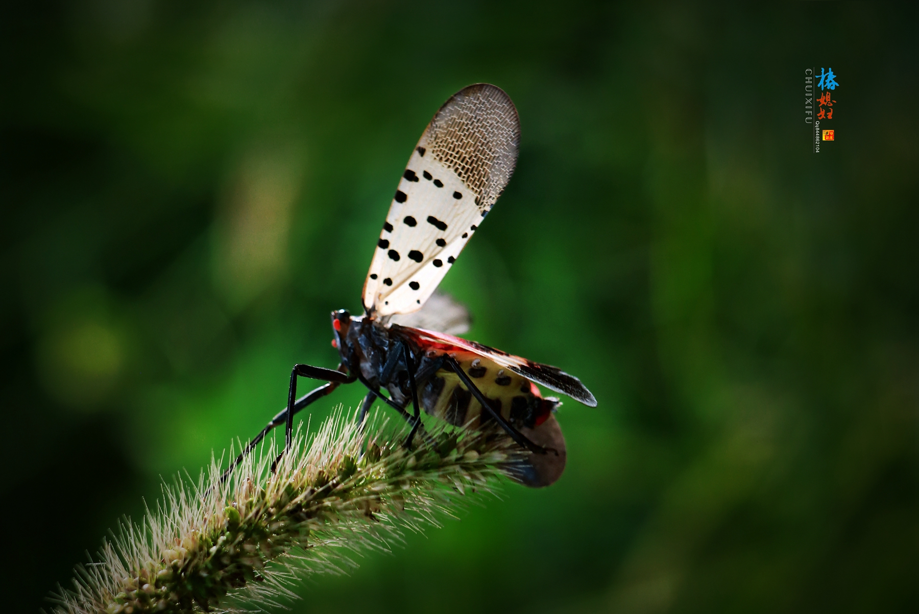 IMG_9533_副本.jpg