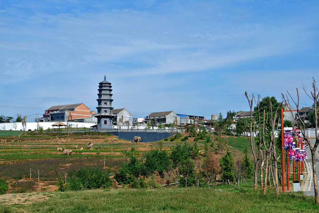 DSC_8651副本.jpg