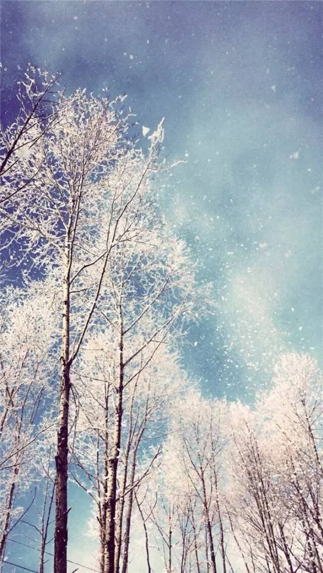 4f902c905c925a2edd04100bf222cf16.jpg