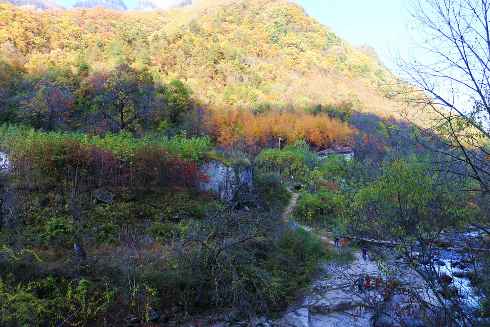 IMG_5433.jpg