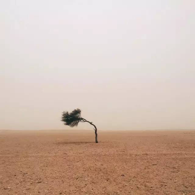ee968b3c4e211830407b0e6685d6136a.jpg