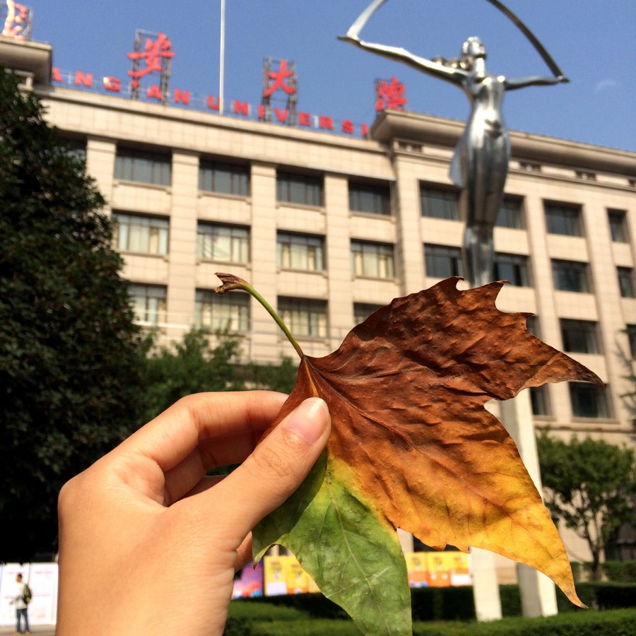 刘璇
