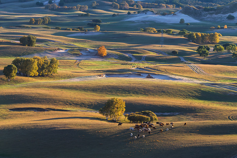 _T2Y8156-1.jpg