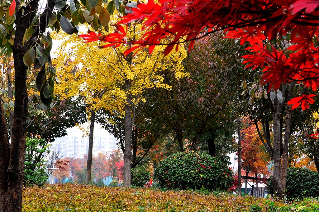 DSC_3396副本.jpg