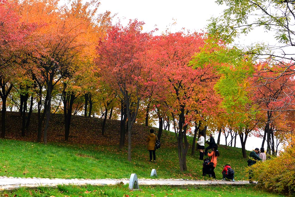 DSC_3406副本.jpg