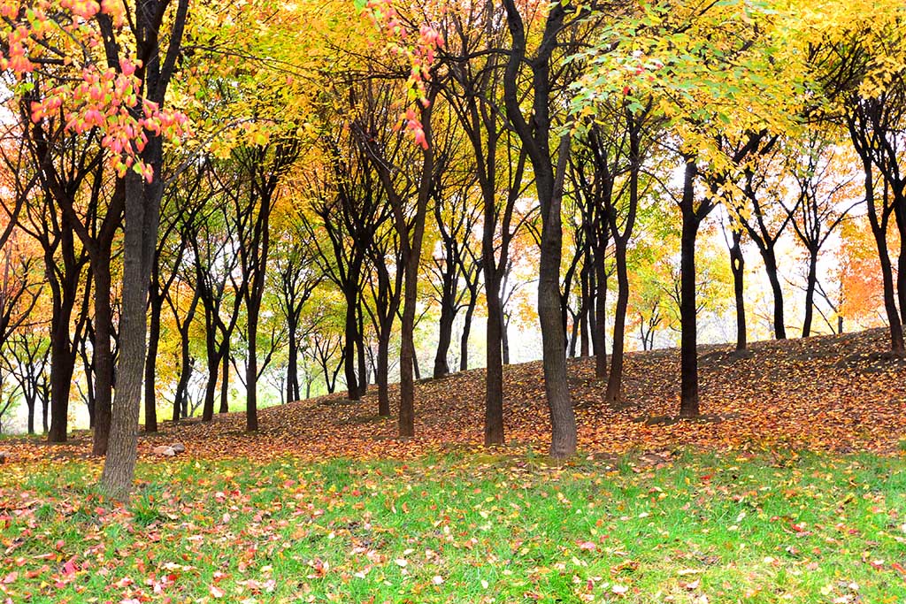 DSC_3410副本.jpg