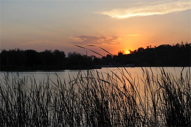 DSC_3782_看图王.jpg
