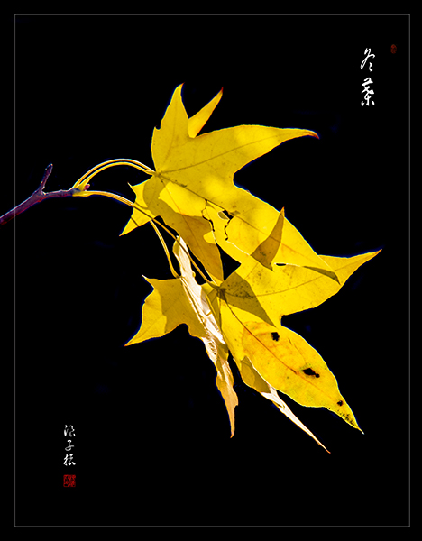 LIU_6053副本副本.jpg