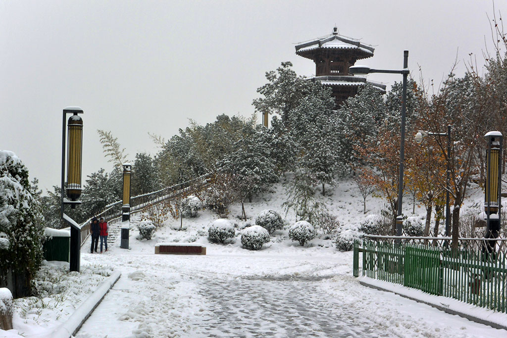 DSC_3535副本.jpg
