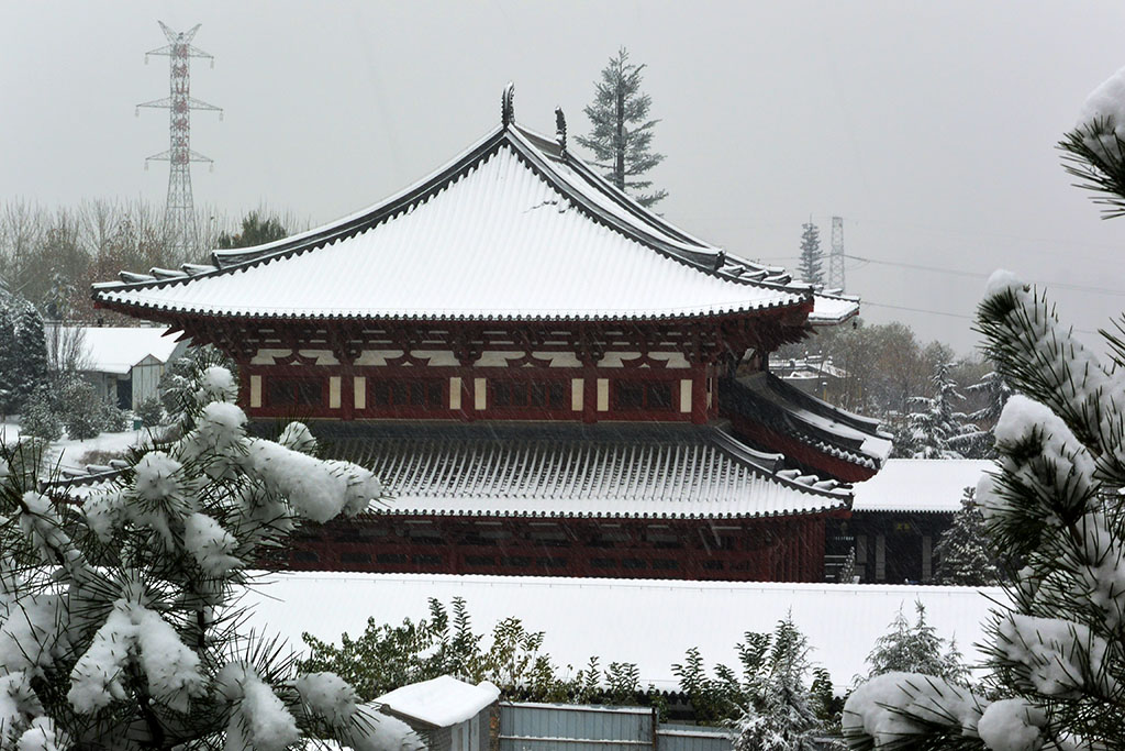 DSC_3543副本.jpg