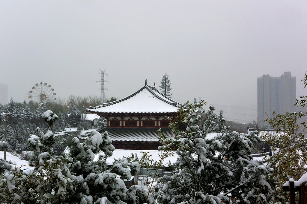 DSC_3544副本.jpg