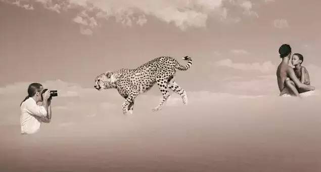 5e57ea7676e45a986df59ad894e3d002.jpg