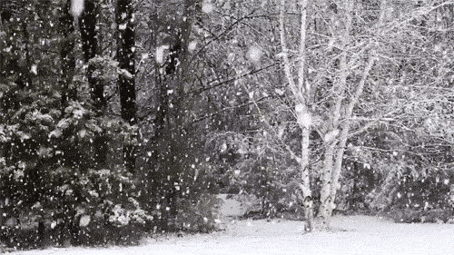 5da2f1aed190d7db87682e4e3d15214e.gif