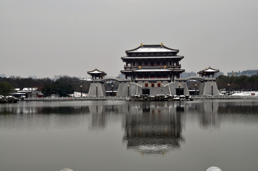 DSC_0140_conew1.jpg