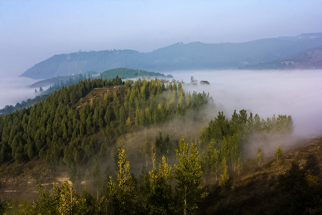 IMG_0226副本-1.jpg
