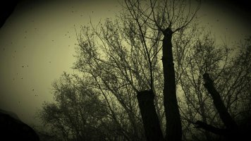 psb (4).jpg