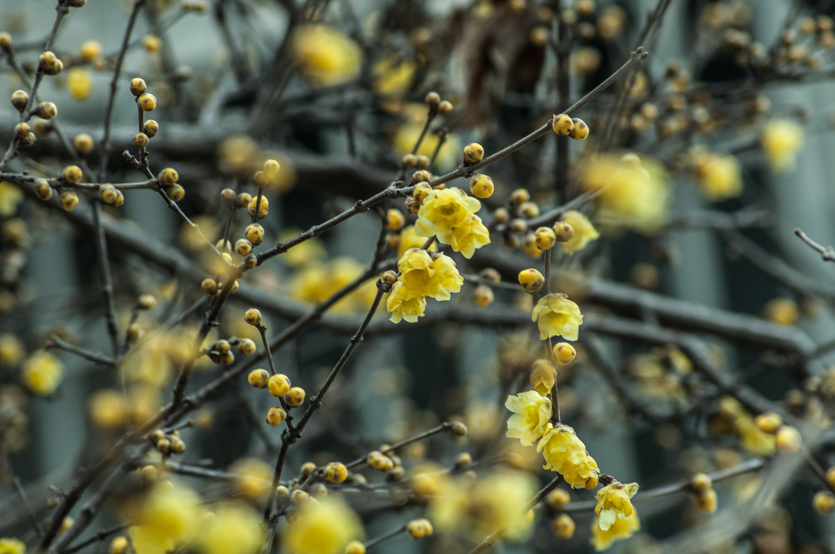 DSC_0790_副本.jpg