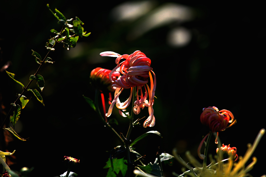 G_0734.jpg