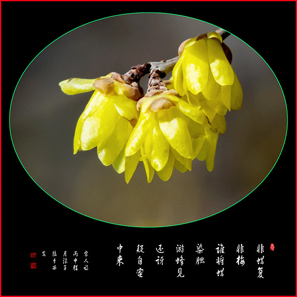 LIU_8332副本副本.jpg