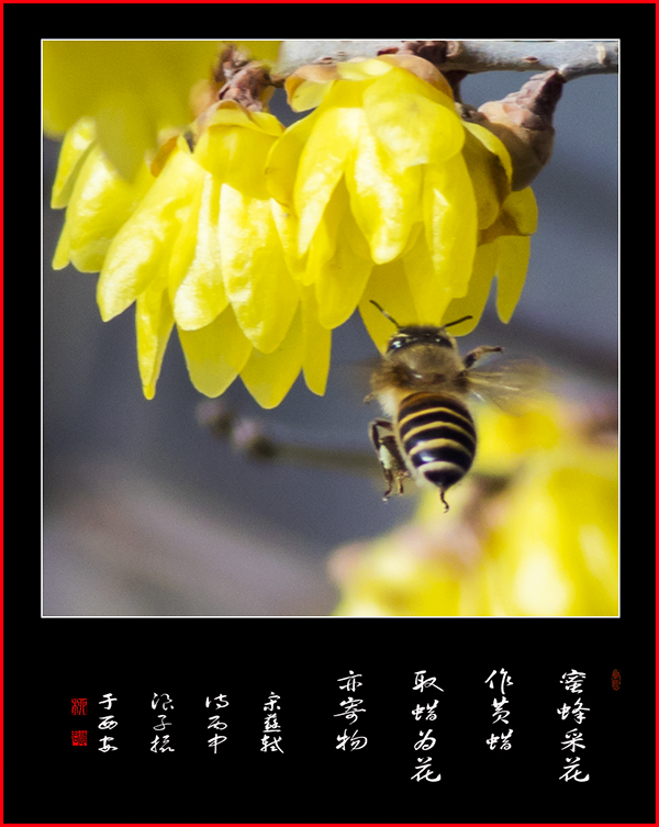 LIU_8341副本副本.jpg