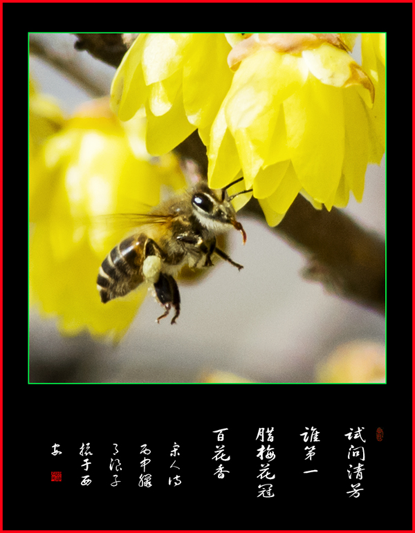 LIU_8346副本副本.jpg
