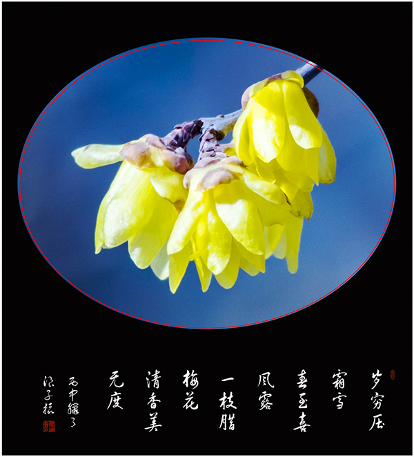 LIU_8429副本副本.jpg