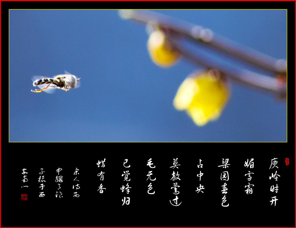 LIU_8482副本2副本.jpg
