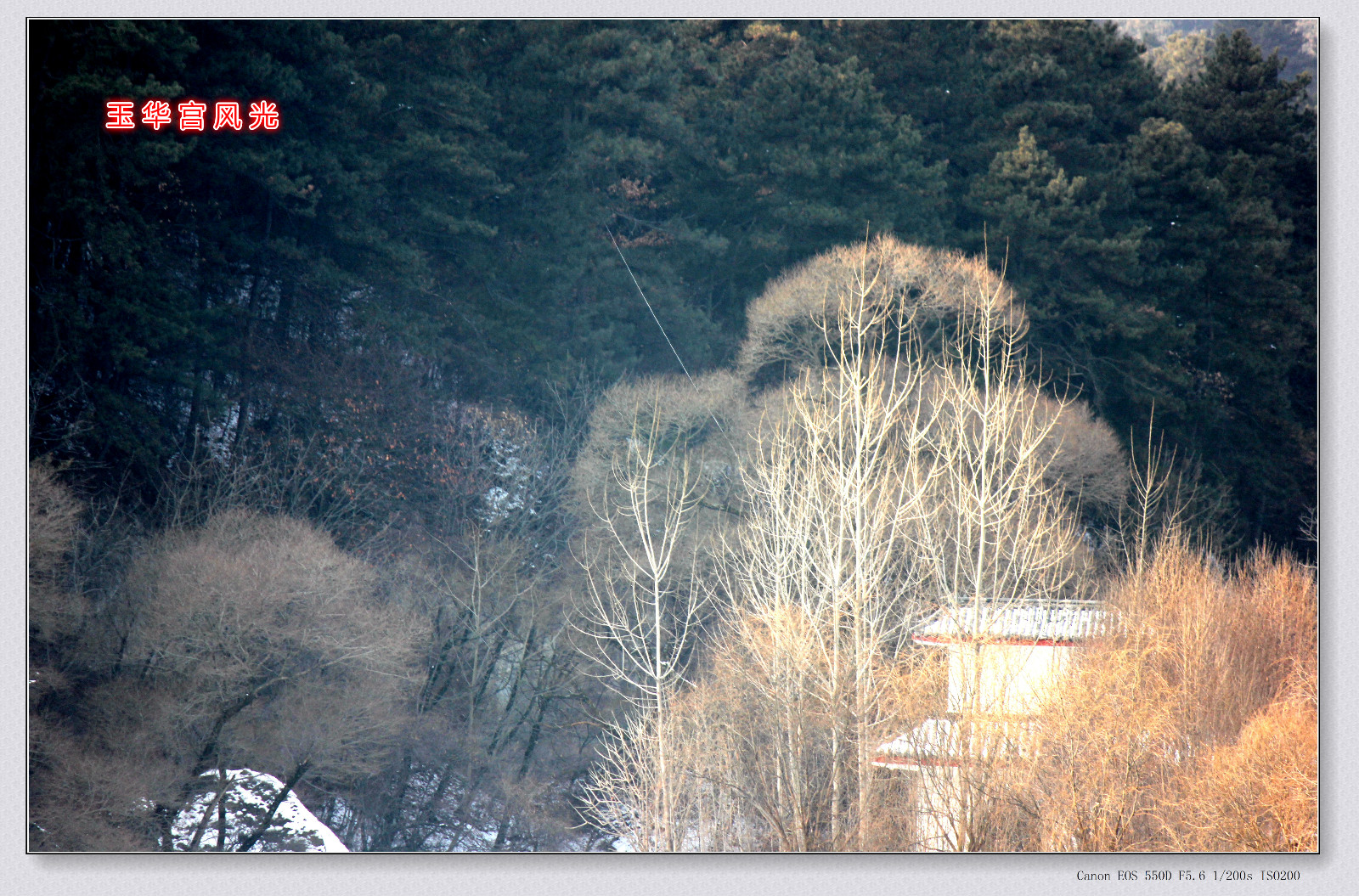 IMG_2633_副本_meitu_53.jpg